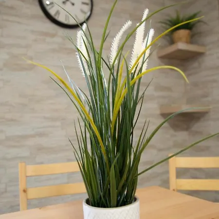Iris Opera Ortigia Syracuse